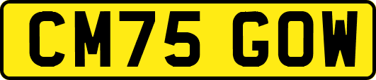 CM75GOW