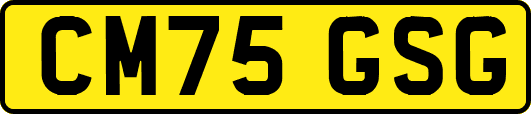 CM75GSG