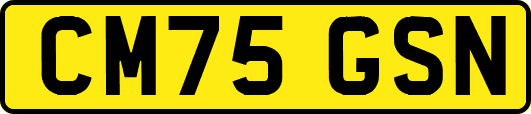 CM75GSN