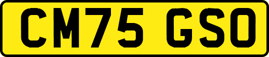 CM75GSO