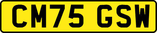 CM75GSW