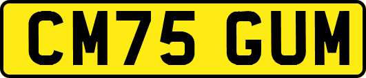 CM75GUM