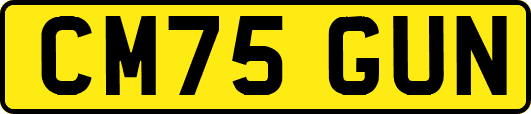 CM75GUN