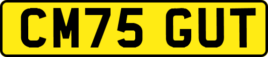 CM75GUT