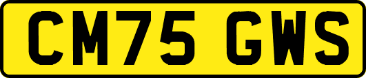 CM75GWS