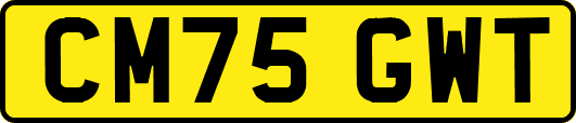 CM75GWT