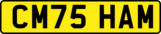 CM75HAM