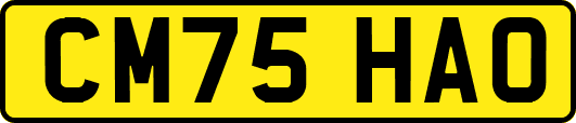 CM75HAO