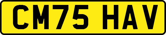 CM75HAV