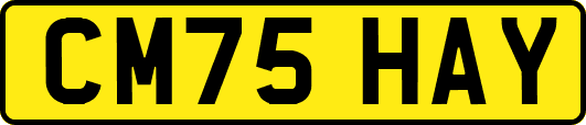 CM75HAY