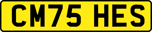CM75HES