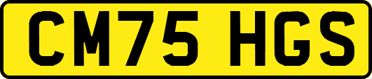 CM75HGS