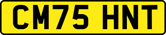 CM75HNT