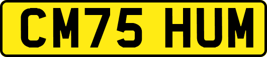 CM75HUM