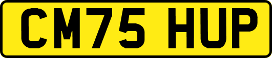 CM75HUP