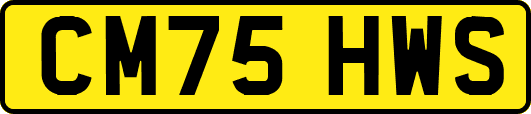 CM75HWS