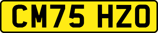 CM75HZO