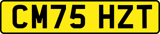 CM75HZT