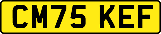 CM75KEF
