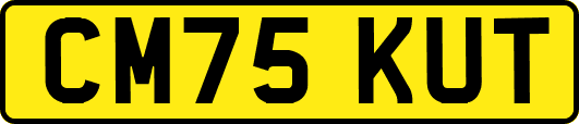 CM75KUT