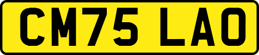 CM75LAO