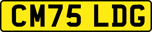 CM75LDG