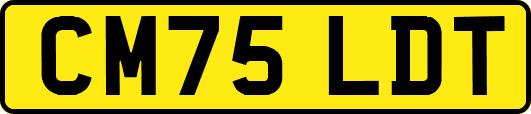 CM75LDT