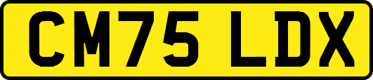 CM75LDX