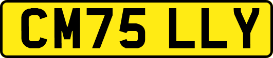 CM75LLY