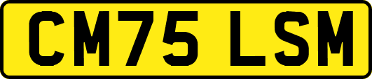 CM75LSM