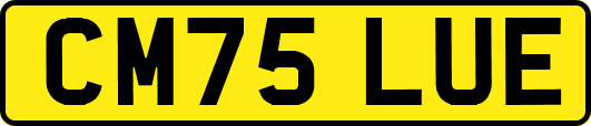 CM75LUE