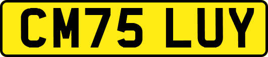 CM75LUY