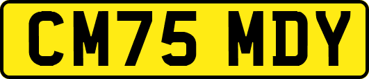 CM75MDY
