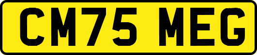 CM75MEG