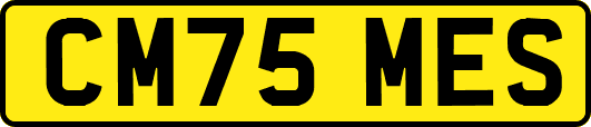 CM75MES