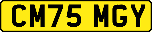 CM75MGY