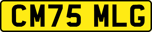 CM75MLG