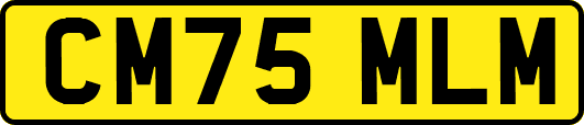 CM75MLM