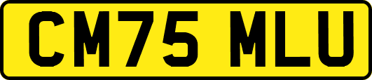 CM75MLU