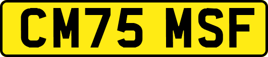 CM75MSF
