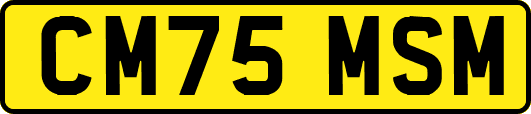 CM75MSM