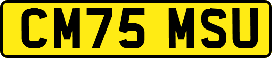 CM75MSU