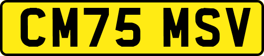 CM75MSV