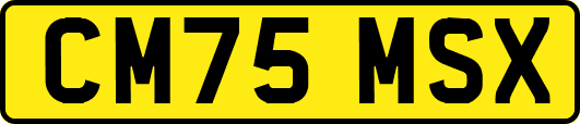 CM75MSX