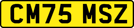 CM75MSZ
