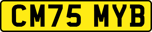 CM75MYB