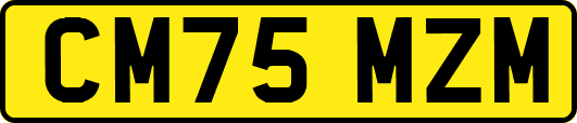 CM75MZM