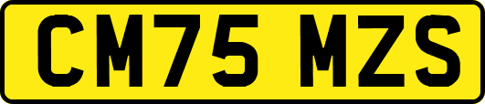 CM75MZS