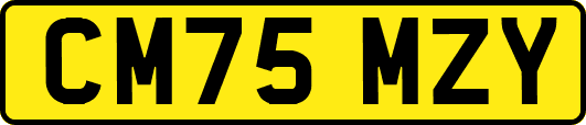 CM75MZY