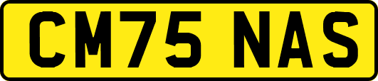 CM75NAS